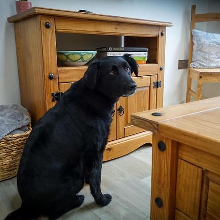 Apartament Sennen Cove Retreat Zewnętrze zdjęcie